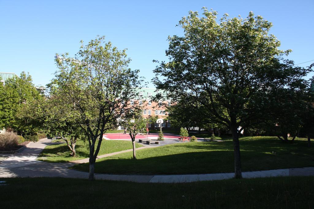 Memorial University St. John's Esterno foto