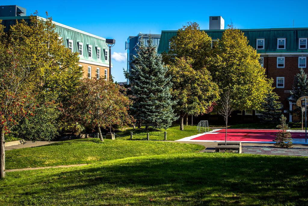 Memorial University St. John's Esterno foto