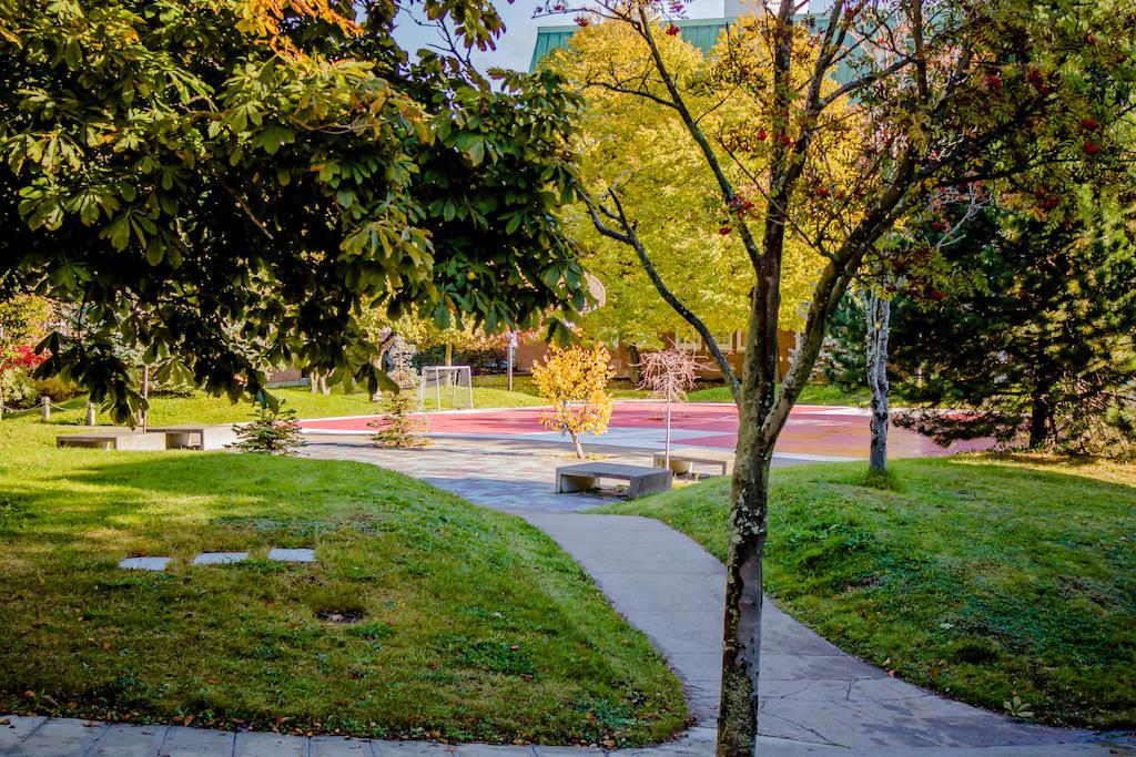 Memorial University St. John's Esterno foto